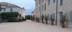 圣安杰洛城Tenuta Coppa Zuccari的建筑一侧有盆栽的小巷
