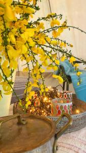 奥斯特坎普SENSI - 'FIRE' Restaurant and Glamping的黄花和桌子上的灯花花瓶