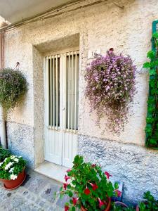 希拉Largo piano的花卉和植物的建筑的前门