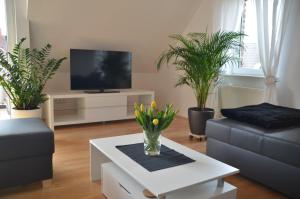 维利希波特公寓的一间带电视和一些植物的客厅