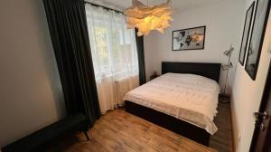 比斯特里察Sunrise apartment的一间卧室设有一张床、一个窗户和一个吊灯。