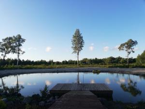哈普萨卢Mõiskla saun ja puhkemaja的中间有一个木平台的池塘