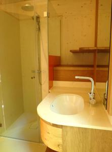 Schrems舒勒姆斯树屋山林小屋的一间带水槽和淋浴的浴室