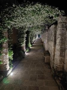 特里卡塞Corte Piri的常春藤覆盖的隧道,有排长椅