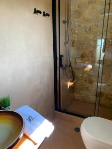 梅加尼西岛Villa Danae的带淋浴、卫生间和盥洗盆的浴室