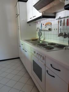 施塔费尔湖畔穆尔瑙Ferienwohnung Dana的厨房配有水槽和炉灶 顶部烤箱