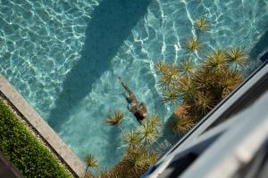 甲米镇甲米赛巴斯酒店的棕榈树旁的海洋里游泳的人