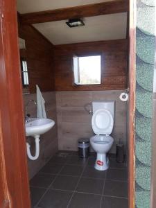 库马诺沃Log Cabin in Strezovce的一间带卫生间和水槽的小浴室
