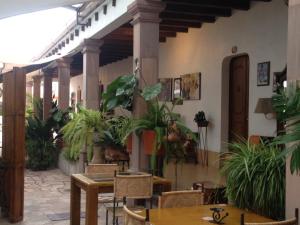 Zitácuaro拉卡萨里克多思精品酒店的一个带植物和桌椅的庭院