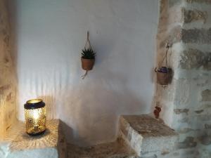 SoturacLa maison d'iréne的墙上有盆栽的屋子