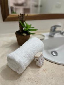 拉斯特拉纳斯Casa Grande Hotel Restaurant的浴室水槽上一卷卫生纸