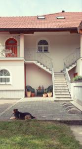 MarkovecPrenočišča Angelin hram, Tiny Apartments的一只狗躺在房子前面的草地上
