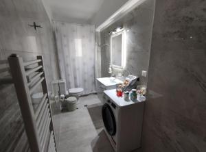 沃洛斯Grey Swan - Modern & Stylish apartment with Private Parking的一间带水槽和洗衣机的浴室