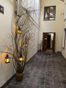 利沃夫Відпочинковий комплекс,міні готель Старий дворик的走廊上有两个灯,盆里种植了植物