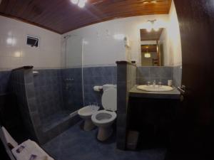 厄尔查尔坦Hospedaje Mi Rincón El Chaltén的浴室配有卫生间、盥洗盆和淋浴。