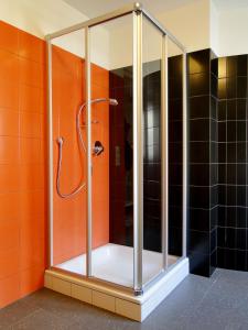 纳图尔诺Gemütliche Einzimmerwohnung mit Parkgarage的浴室铺有橙色瓷砖,设有淋浴。