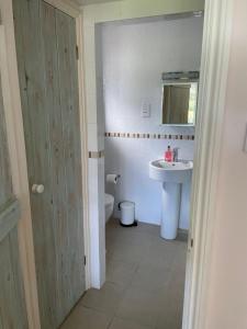 米尔福德昂西Cliff top Garden room的一间带水槽和卫生间的浴室