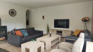 巴特贝特里希Villa Bad Bertrich的带沙发和桌子的客厅以及电视。