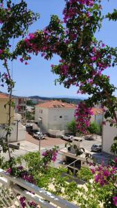 马卡尔斯卡Makarska sea view rooms的享有停车场的粉红色花卉美景