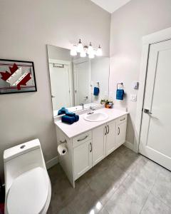 基洛纳Kelowna new lake view 2bedrooms suite close BIG WHITE的一间带水槽、卫生间和镜子的浴室
