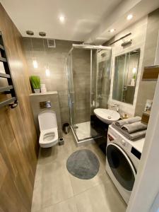 格利维采Apartament Glamour Work&Relax, obok ARENY Gliwice, FV的带淋浴卫生间和盥洗盆的浴室