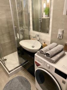 格利维采Apartament Glamour Work&Relax, obok ARENY Gliwice, FV的一间带洗衣机和水槽的浴室