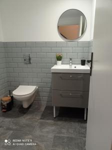 普瓦捷AppartHôtel的一间带水槽、卫生间和镜子的浴室