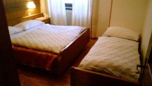 摩德纳迪-坎皮格里奥Campiglio Bilocale Monte Spinale的一间卧室设有两张床和窗户。