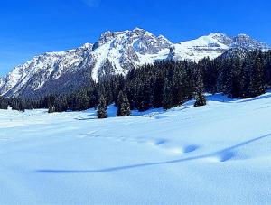 摩德纳迪-坎皮格里奥Campiglio Monolocale Cima Tosa的雪覆盖的山,有树木和脚印