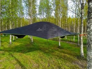 科尔波Hannaksen tila的黑风筝,坐在森林中间