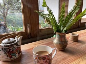 PedongMiknaon Farm Stay的茶几,咖啡,花瓶,植物