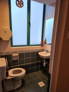新加坡Hotel Duke的一间带卫生间、水槽和窗户的浴室