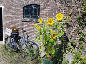 韦斯普Het Voorhuis boerderij Hoeve Vrede Best的自行车停放在一座向日葵的砖砌建筑旁边