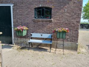 韦斯普Het Voorhuis boerderij Hoeve Vrede Best的砖墙前的长凳和两盆花盆