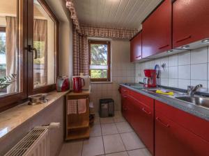 瓦伦Ferienwohnung "Juli" Objekt ID 13432-3的一间带红色橱柜和水槽的厨房