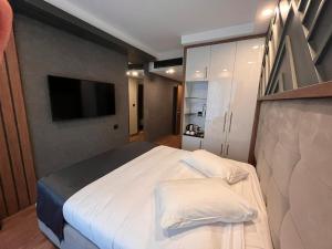 萨潘贾Cabir Deluxe Hotel Sapanca的一间卧室配有一张大床和电视