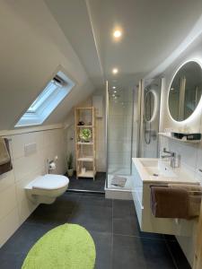 布劳巴赫Hotel Garni Maaß的浴室配有卫生间、盥洗盆和淋浴。
