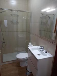 蓬塔穆赫雷斯Estudio SERMAR的带淋浴、卫生间和盥洗盆的浴室