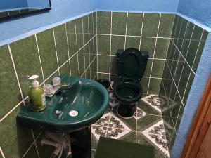 兰金Casa " MARY "的一间带绿色水槽和卫生间的浴室