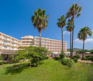 圣安东尼奥因维萨埃斯普拉酒店 - 仅限成人入住的公园里棕榈树的酒店