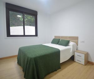 奥格罗夫半岛圣维森特Apartamentos Playa Area Grande的一间卧室配有一张带绿毯的床和窗户。
