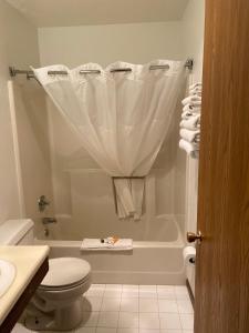 Kadoka卡多卡美国最佳价值旅馆的浴室设有卫生间和带淋浴帘的浴缸。