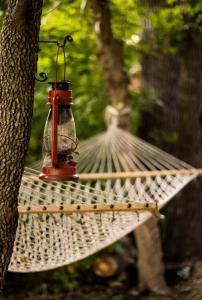 LandrumVan Camping - Do Something Different!的挂在树上的吊床上的鸟食