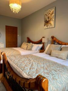 CemmaesAberhiriaeth Hall - Country House By River Dyfi的一间卧室配有两张床和吊灯。