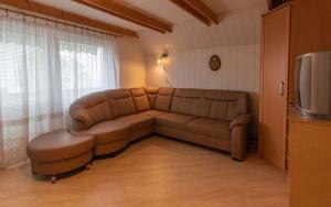 新梅斯托Holiday home in Novo Mesto - Dolenjska Bela krajina Unter- Weißkrain 42895的带沙发和电视的客厅