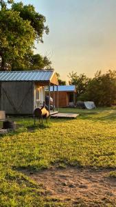 Medicine ParkTiny Cabin at the DonkeyRanch的田间中带帐篷的房子