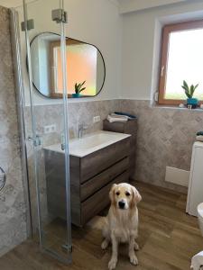 Sankt Paul im LavanttalMILLIEs hosting - Familienurlaub mit Hund in Kärnten的狗坐在浴室地板上