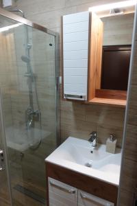 LukovoSTIV Apartmani的浴室配有盥洗盆和带镜子的淋浴