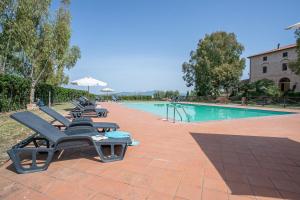 里奥托尔托Appartamento Pianosa的一个带躺椅和遮阳伞的游泳池