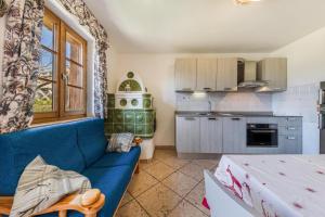 维哥迪法萨Ciasa Sommavilla Calendula的一间带蓝色沙发的客厅和一间厨房